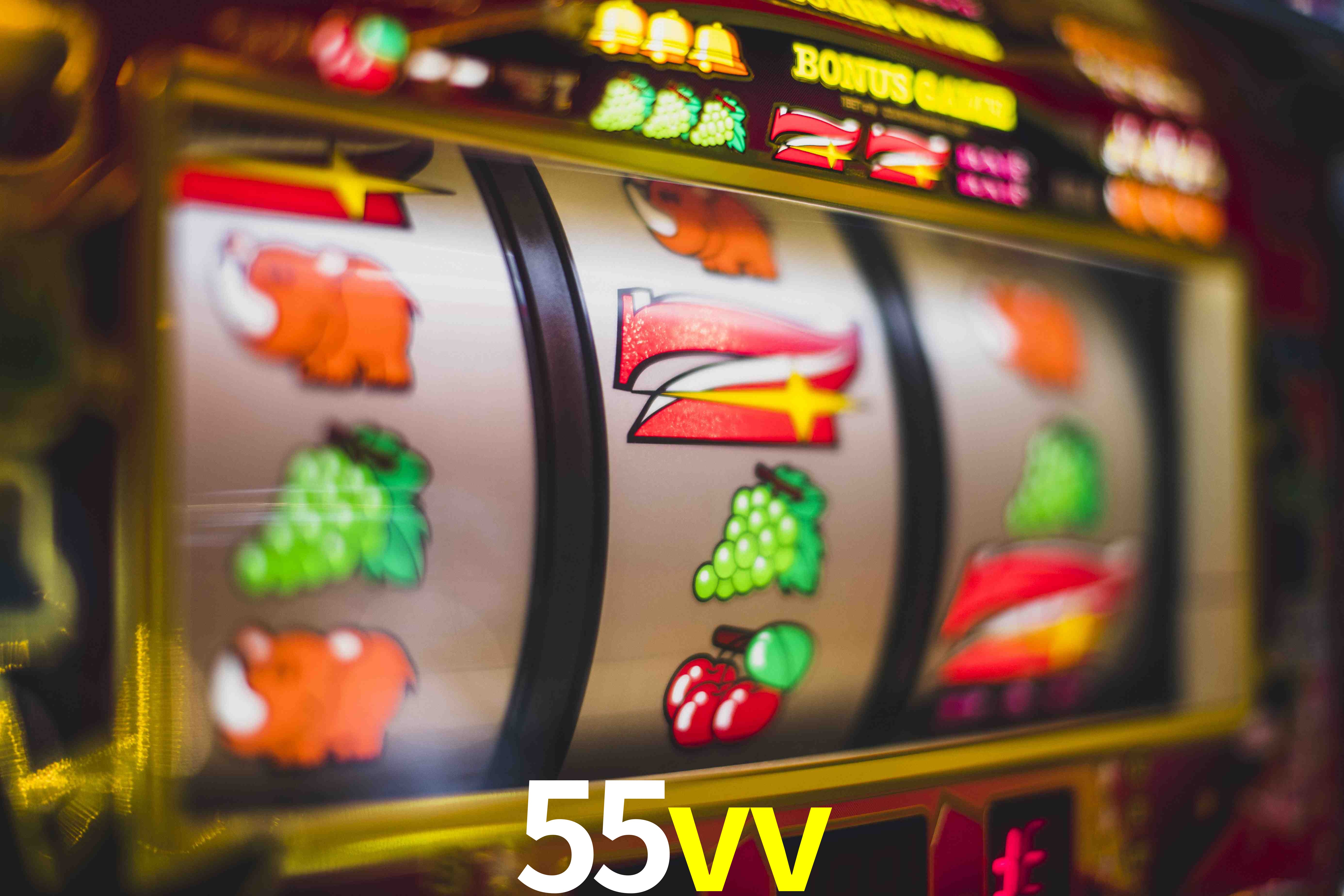 Statistics 55vv